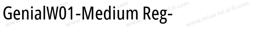 GenialW01-Medium Reg字体转换